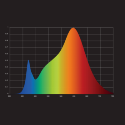 Gráfico de distribuição espectral colorida em fundo preto