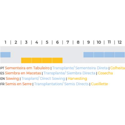 Calendário de atividades agrícolas multilingue com barras coloridas indicando períodos para semeadura, transplantação e colheita