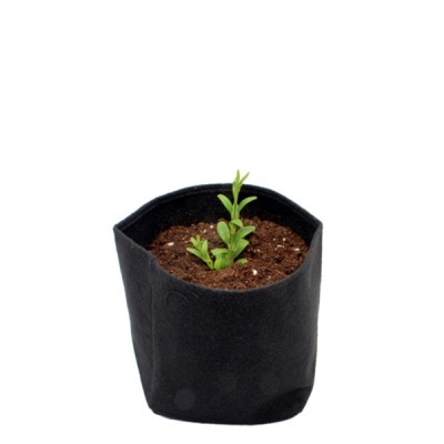 Vaso preto de tecido com planta jovem em solo