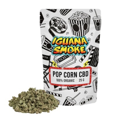 Pacote Iguana Smoke Pop Corn CBD com flores verdes ao lado