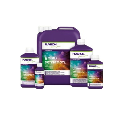 Embalagens do produto Plagron Green Sensation em diferentes tamanhos