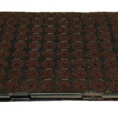 Tabuleiro preto com células redondas cheias de terra