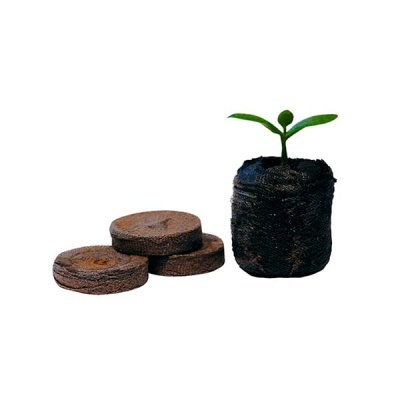 Três discos de turfa e uma pequena planta verde crescendo em disco expandido