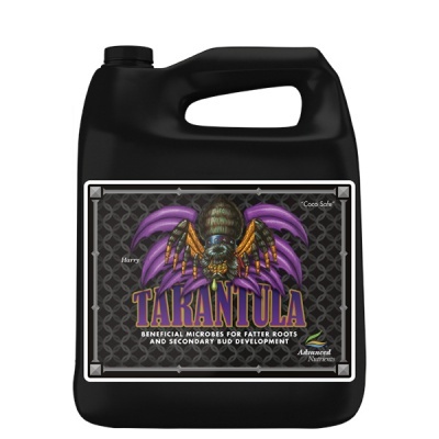 Recipiente plástico preto com rótulo colorido de tarântula e texto TARANTULA
