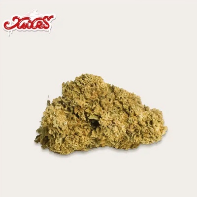 Flor de cannabis seca com logo Xutas no canto superior esquerdo