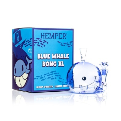 Bong azul XL em forma de baleia com caixa azul ao lado