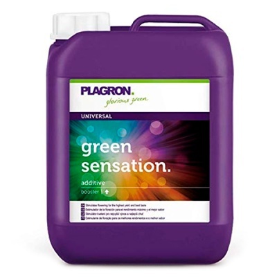 Recipiente plástico roxo de 5 litros com tampa branca e etiqueta Plagron Green Sensation additive booster