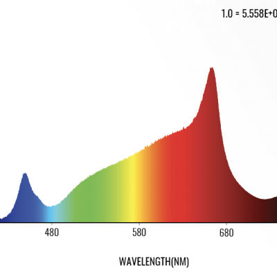 Gráfico de espectro colorido com dados e texto SPECTRUM