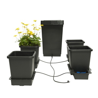 Sistema automático de rega com vasos quadrados pretos e flores amarelas