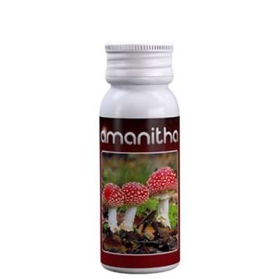 Frasco com rótulo de cogumelos vermelhos e branco e o texto amanitha