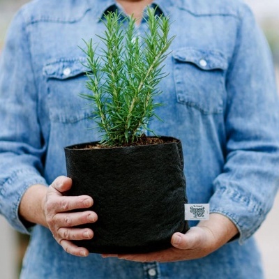Pessoa com planta em vaso de tecido preto segurando a planta com camisa de ganga azul claro