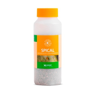 Frasco plástico branco com tampa laranja e rótulo laranja e verde de produto SPICAL Neoseiulus Californicus