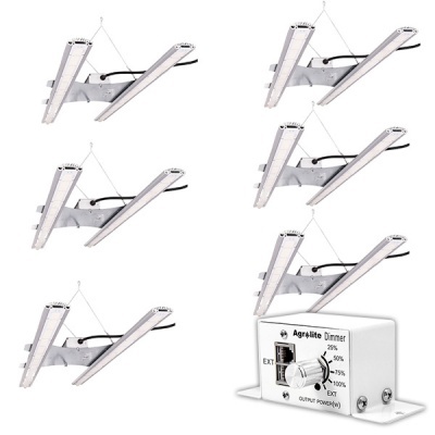 Cinco luzes LED com estrutura metálica e controlador Agrolite Dimmer branco