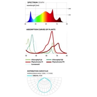 Gráficos de absorção e distribuição de luz para plantas