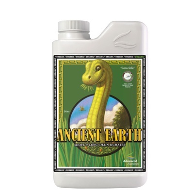 Embalaem de plástico branco com rótulo verde e imagem de dinossauro amarelo com texto ANCIENT EARTH.