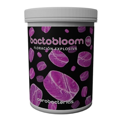 Embalagem de tabs Bactobloom com pastilhas rosas/violetas