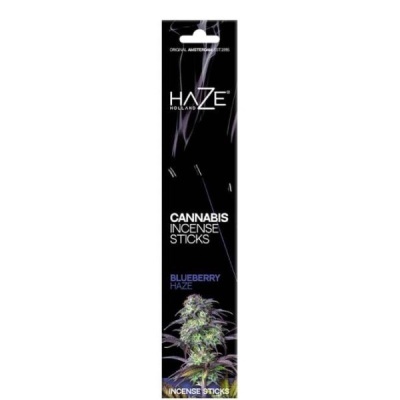 Embalagem preta de sticks de incenso cannabis Blueberry Haze da marca Haze Holland