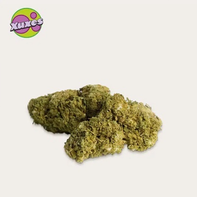 Flores verdes amareladas com textura densa e logo Xuxes no canto superior