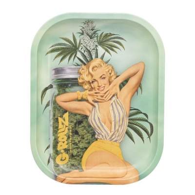 Tabuleiro metálico com ilustração de pin-up loira e frasco com planta