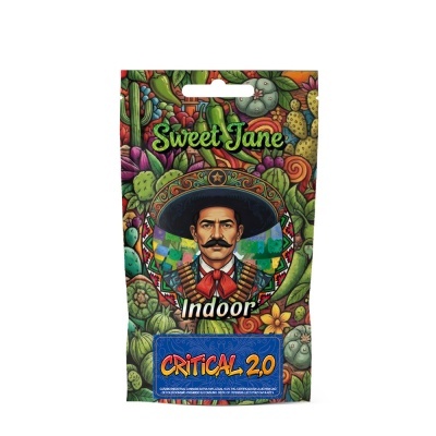 Embalagem decorativa com ilustração de homem mexicano e texto Sweet Jane Indoor Critical 2.0
