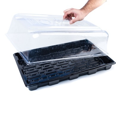 Bandeja preta com tampa transparente para germinação de plantas