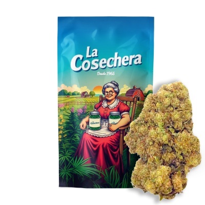 Embalagem azul com ilustração de senhora e flor de cannabis