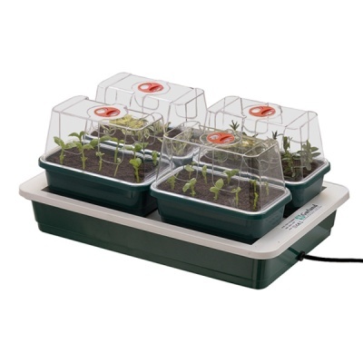 Mini estufa de plástico verde com plantas jovens e tampas transparentes sobre base elétrica