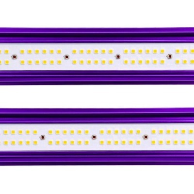 Painéis LED retangulares roxos com vários diodos LEDs amarelos