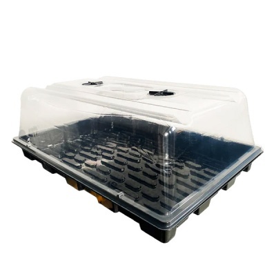 Estufa para plantas preta e transparente com tampa ventilada