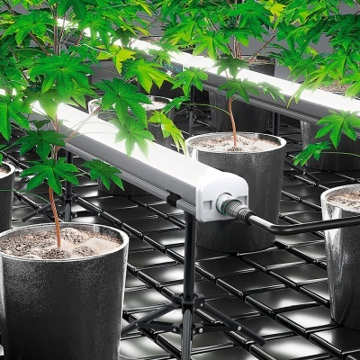 Lâmpada de cultivo LED com plantas em vasos em prateleira metálica preta