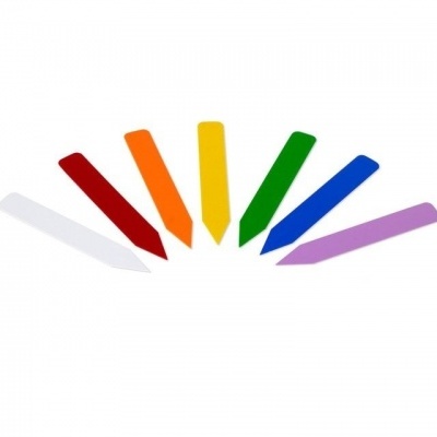 Sete lápis de cor em leque sobre fundo branco