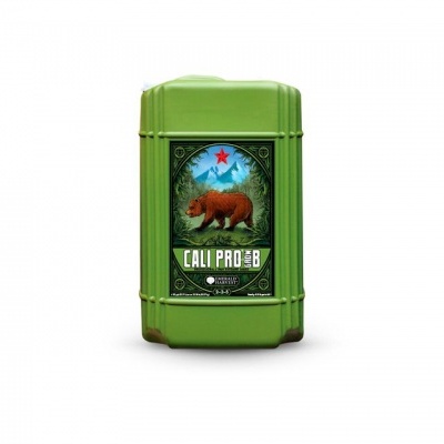 Recipiente verde com etiqueta decorativa com urso e texto CALI PRO 3B.