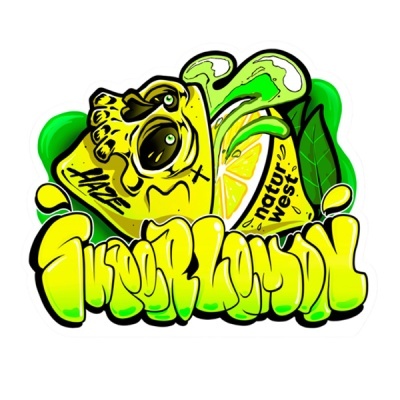 Design gráfico colorido de cabeça de limão amarela com caveira e texto em amarelo e verde