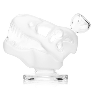 Objeto de vidro em forma de crânio de dinossauro transparente