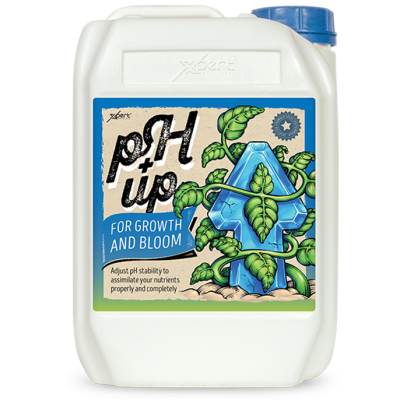 Recipiente plástico branco com rótulo pH up para crescimento e floração
