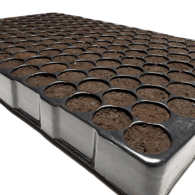 Tabuleiro preto com terra para germinação em múltiplos compartimentos