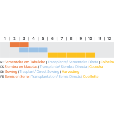 Gráfico de barras com etapas agrícolas e legendas em quatro línguas de meses 1 a 12