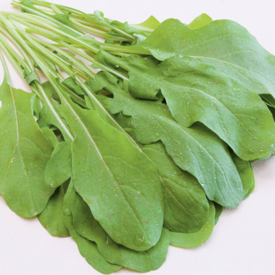 Ramo de folhas verdes frescas com gotas de água