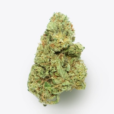 Cálice de cannabis verde e alaranjado sobre fundo branco