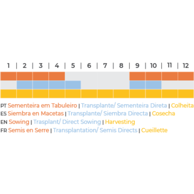 Gráfico de calendário agrícola com faixas coloridas indicando diferentes atividades ao longo dos meses