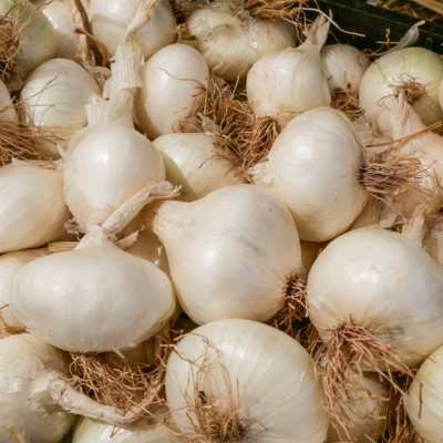 Cabeças de alho branco com raízes secas