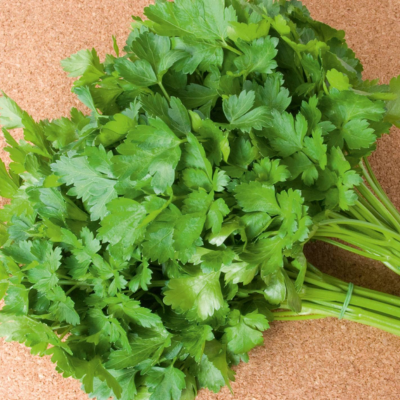 Ramo de salsa fresca verde sobre superfície de cortiça