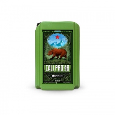 Pack verde com etiqueta de urso castanho e texto CALI PRO SB