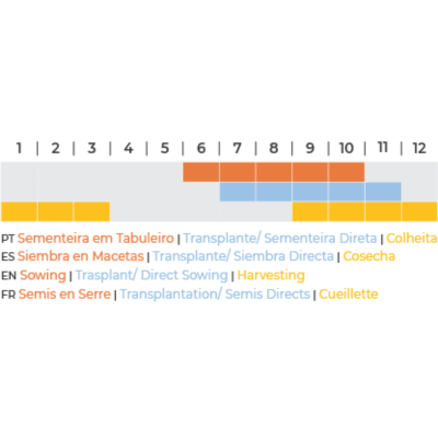 Calendário mensal de atividades agrícolas em várias línguas com blocos coloridos para sementeira, transplante e colheita