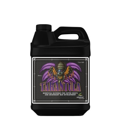 Recipiente preto com etiqueta de aranha e texto Tarantula