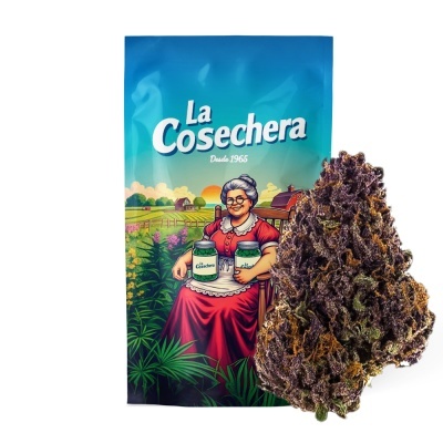 Embalagem azul La Cosechera com senhora sentada e flor seca roxa