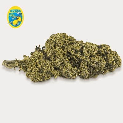 Flor de cânhamo verde amarelada com logotipo amarelo e azul no canto superior esquerdo.