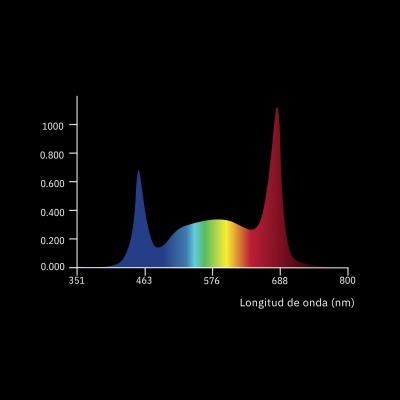Gráfico colorido de espectro com eixo longitudinal em nm.