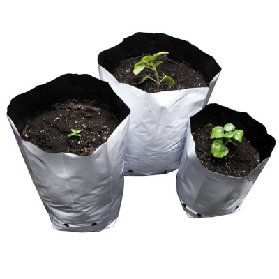 Três sacos de cultivo com plantas pequenas e terra.