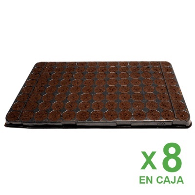 Tabuleiro preto com pequenos vasos hexagonais preenchidos com substrato castanho